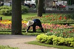 013 Saigon - vrouw in park aan het werk